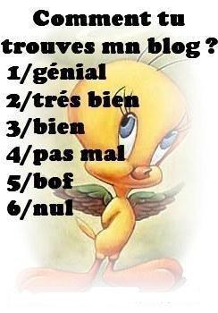 alor c bien tu comprend le blog